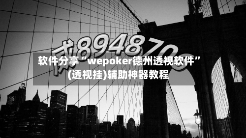软件分享“wepoker德州透视软件	”(透视挂)辅助神器教程-第2张图片