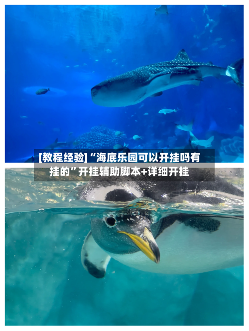 [教程经验]“海底乐园可以开挂吗有挂的”开挂辅助脚本+详细开挂-第1张图片