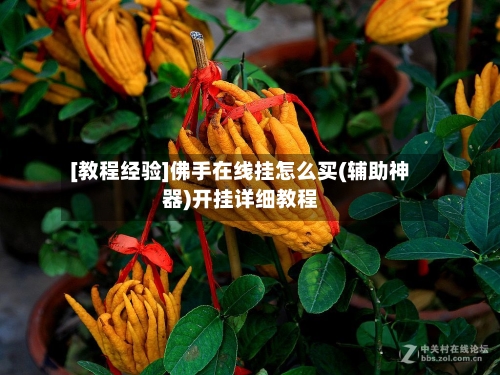 [教程经验]佛手在线挂怎么买(辅助神器)开挂详细教程-第1张图片
