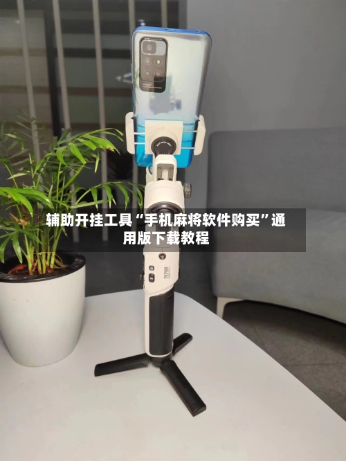 辅助开挂工具“手机麻将软件购买”通用版下载教程-第3张图片