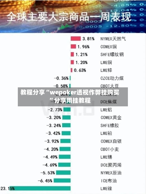 教程分享“wepoker透视作弊挂购买	”分享用挂教程-第2张图片