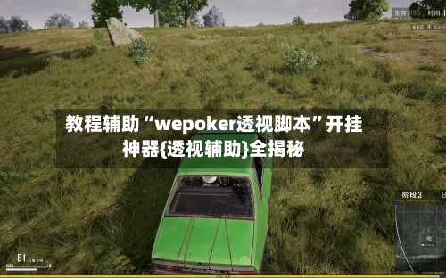 教程辅助“wepoker透视脚本”开挂神器{透视辅助}全揭秘-第1张图片