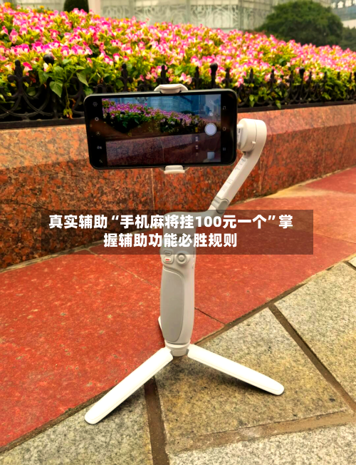 真实辅助“手机麻将挂100元一个”掌握辅助功能必胜规则-第1张图片