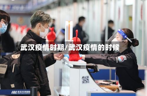 武汉疫情时期/武汉疫情的时候-第1张图片