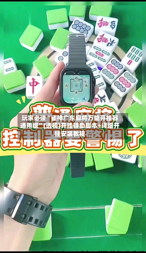 玩家必读“雀神广东麻将万能开挂器通用版”(透视)开挂辅助脚本+详细开挂安装教程-第1张图片