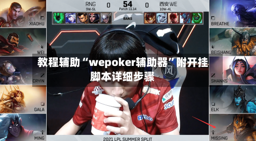 教程辅助“wepoker辅助器	”附开挂脚本详细步骤-第1张图片