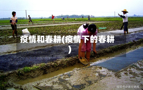 疫情和春耕(疫情下的春耕)-第2张图片