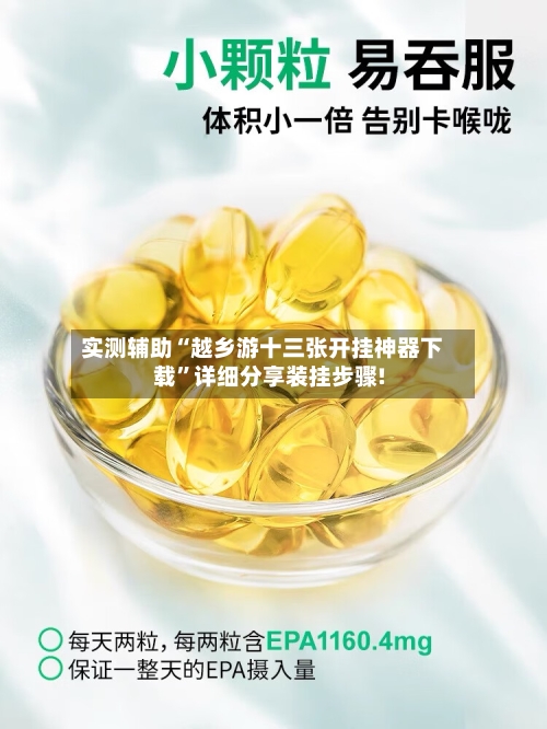 实测辅助“越乡游十三张开挂神器下载”详细分享装挂步骤!-第3张图片