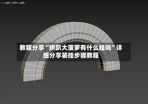 教程分享“拱趴大菠萝有什么挂吗”详细分享装挂步骤教程-第1张图片