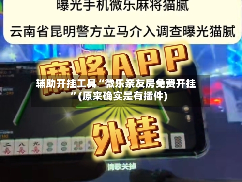 辅助开挂工具“微乐亲友房免费开挂”(原来确实是有插件)-第2张图片