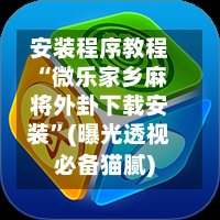 安装程序教程“微乐家乡麻将外卦下载安装”(曝光透视必备猫腻)-第1张图片