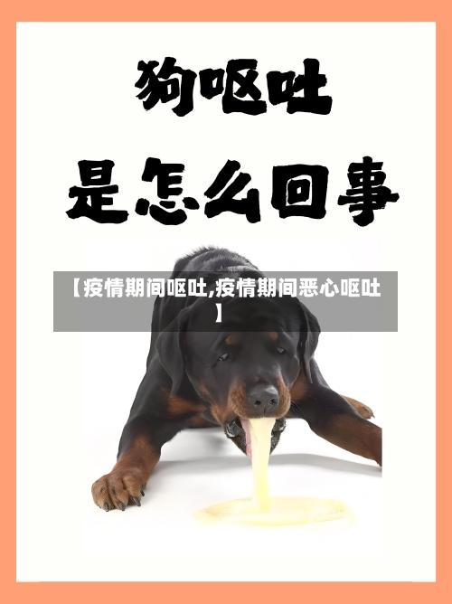 【疫情期间呕吐,疫情期间恶心呕吐】-第1张图片