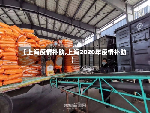 【上海疫情补助,上海2020年疫情补助】-第1张图片