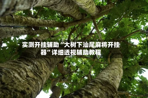 实测开挂辅助“大树下汕尾麻将开挂器”详细透视辅助教程-第1张图片