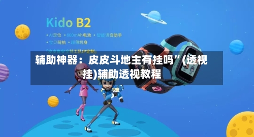 辅助神器：皮皮斗地主有挂吗”(透视挂)辅助透视教程-第2张图片