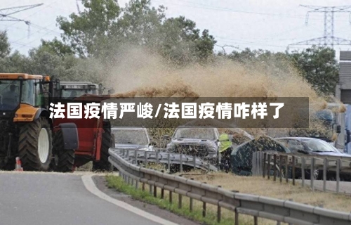 法国疫情严峻/法国疫情咋样了-第1张图片