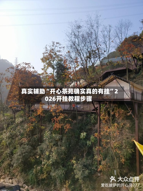 真实辅助“开心茶苑确实真的有挂	”2026开挂教程步骤-第2张图片