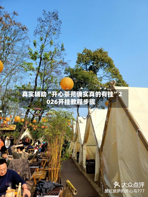 真实辅助“开心茶苑确实真的有挂”2026开挂教程步骤-第1张图片