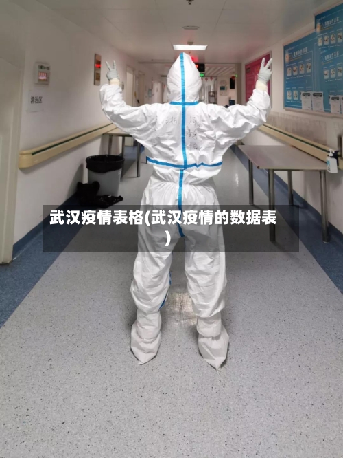 武汉疫情表格(武汉疫情的数据表)-第1张图片