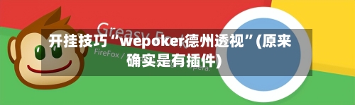 开挂技巧“wepoker德州透视”(原来确实是有插件)-第1张图片