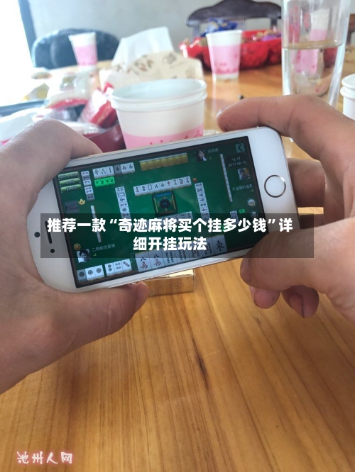 推荐一款“奇迹麻将买个挂多少钱”详细开挂玩法-第1张图片