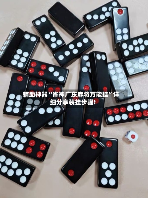 辅助神器“雀神广东麻将万能挂”详细分享装挂步骤!-第1张图片