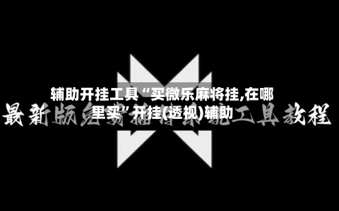 辅助开挂工具“买微乐麻将挂,在哪里买”开挂(透视)辅助-第1张图片