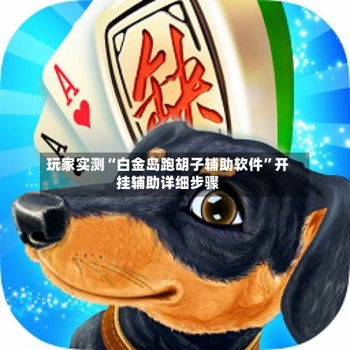 玩家实测“白金岛跑胡子辅助软件”开挂辅助详细步骤-第1张图片