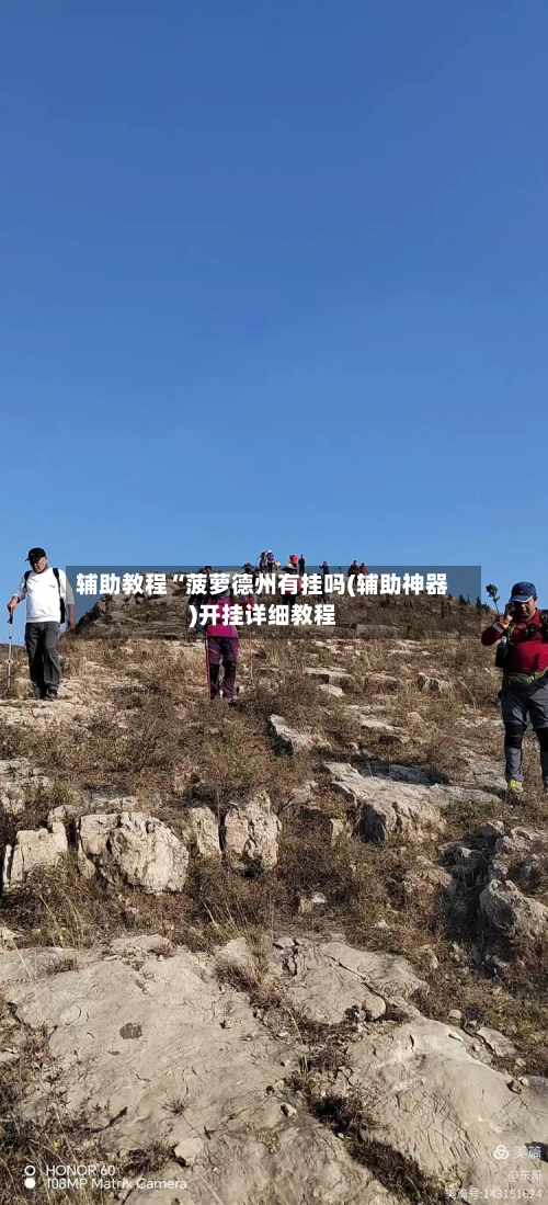 辅助教程“菠萝德州有挂吗(辅助神器)开挂详细教程-第1张图片