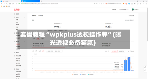 实操教程“wpkplus透视挂作弊”(曝光透视必备猫腻)-第1张图片