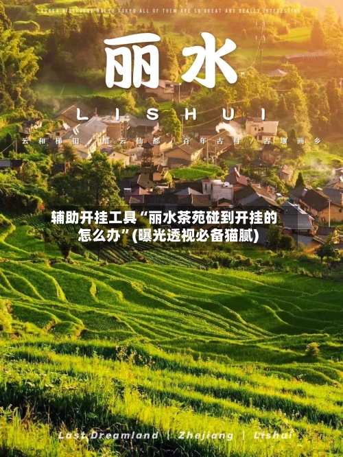 辅助开挂工具“丽水茶苑碰到开挂的怎么办	”(曝光透视必备猫腻)-第1张图片