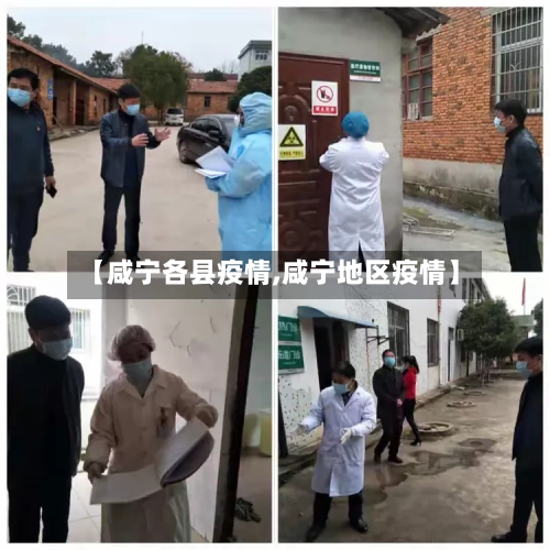 【咸宁各县疫情,咸宁地区疫情】-第2张图片