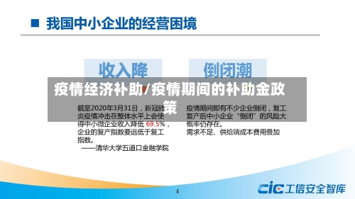 疫情经济补助/疫情期间的补助金政策-第2张图片
