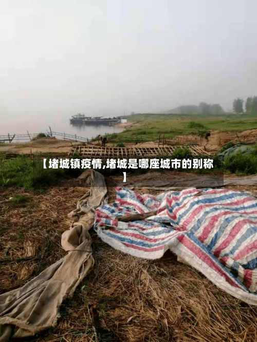 【堵城镇疫情,堵城是哪座城市的别称】-第2张图片