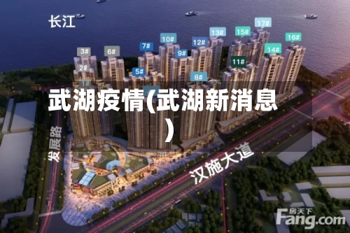 武湖疫情(武湖新消息)-第2张图片