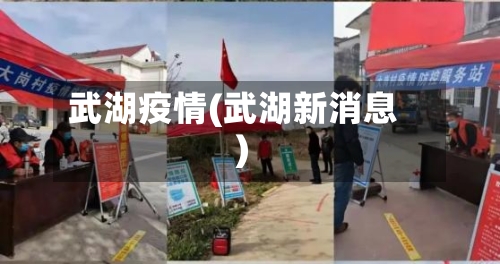 武湖疫情(武湖新消息)-第3张图片