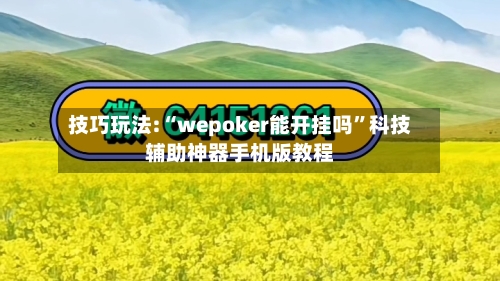 技巧玩法:“wepoker能开挂吗	”科技辅助神器手机版教程-第1张图片