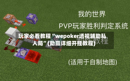 玩家必看教程“wepoker透视辅助私人局”(助赢详细开挂教程)-第3张图片