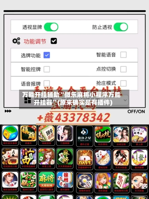 万能开挂辅助“微乐麻将小程序万能开挂器”(原来确实是有插件)-第2张图片