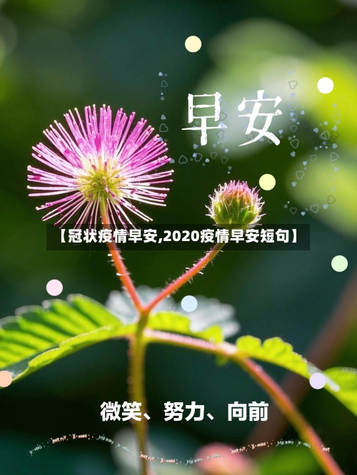 【冠状疫情早安,2020疫情早安短句】-第3张图片
