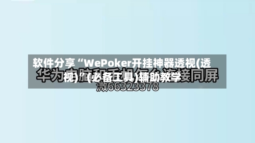 软件分享“WePoker开挂神器透视(透视)	”(必备工具)辅助教学-第2张图片