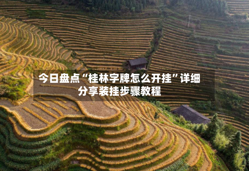 今日盘点“桂林字牌怎么开挂”详细分享装挂步骤教程-第2张图片