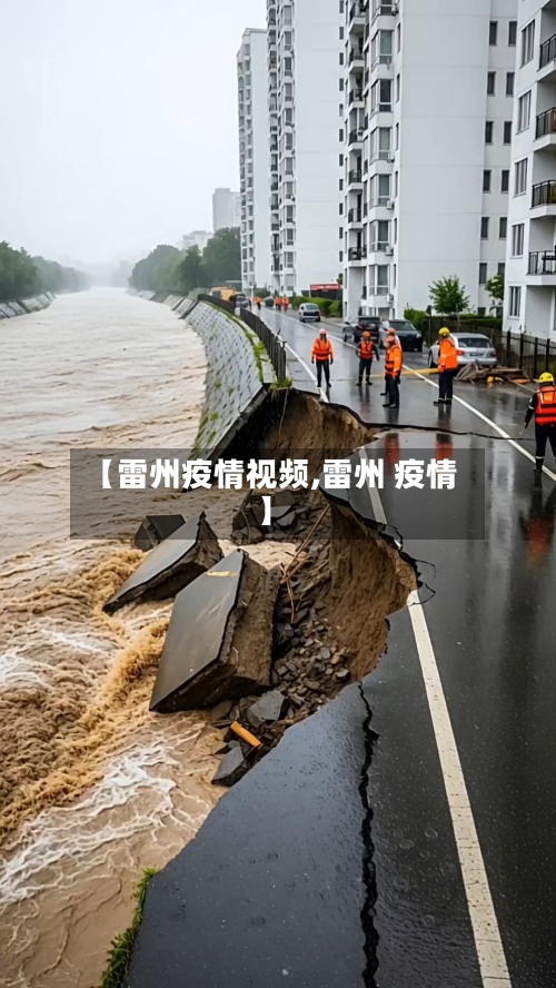 【雷州疫情视频,雷州 疫情】-第1张图片