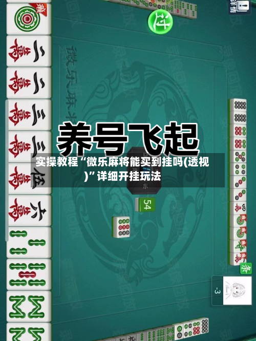 实操教程“微乐麻将能买到挂吗(透视)”详细开挂玩法