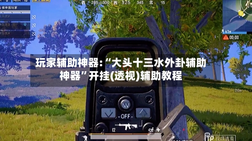 玩家辅助神器:“大头十三水外卦辅助神器”开挂(透视)辅助教程-第1张图片