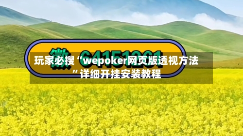 玩家必搜“wepoker网页版透视方法”详细开挂安装教程-第1张图片