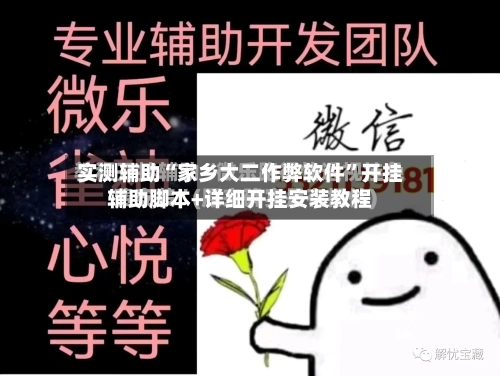 实测辅助“家乡大二作弊软件”开挂辅助脚本+详细开挂安装教程-第1张图片