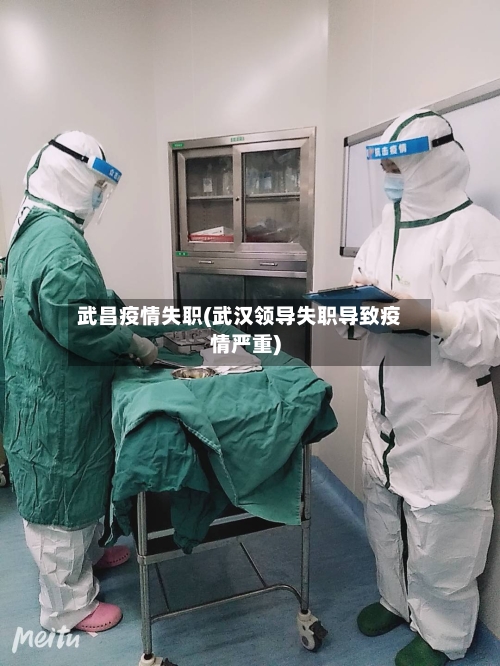 武昌疫情失职(武汉领导失职导致疫情严重)-第1张图片