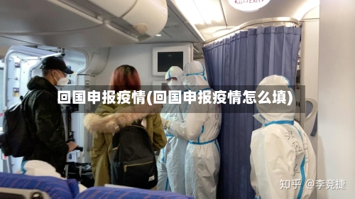 回国申报疫情(回国申报疫情怎么填)-第1张图片