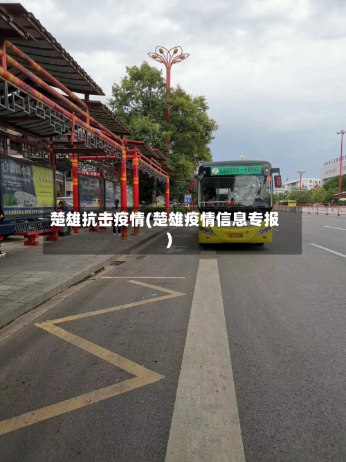 楚雄抗击疫情(楚雄疫情信息专报)-第1张图片